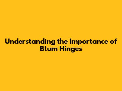 Understanding the Importance of Blum Hinges
