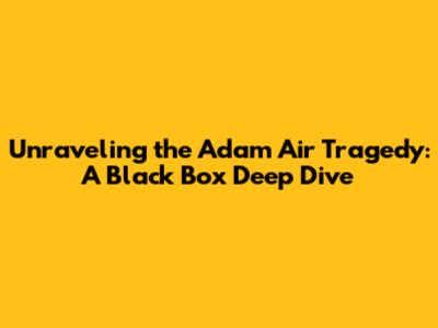 Unraveling the Adam Air Tragedy: A Black Box Deep Dive