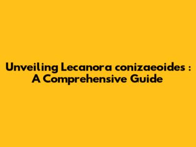 Unveiling *Lecanora conizaeoides*: A Comprehensive Guide