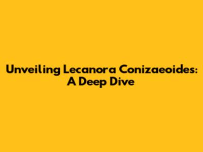 Unveiling Lecanora Conizaeoides: A Deep Dive
