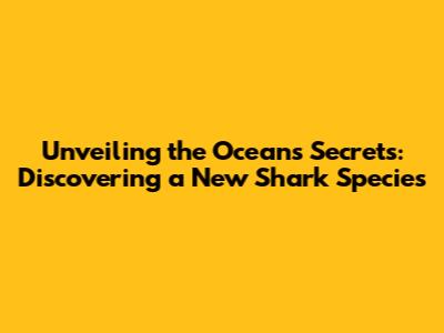 Unveiling the Ocean's Secrets: Discovering a New Shark Species