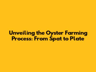 Unveiling the Oyster Farming Process: From Spat to Plate
