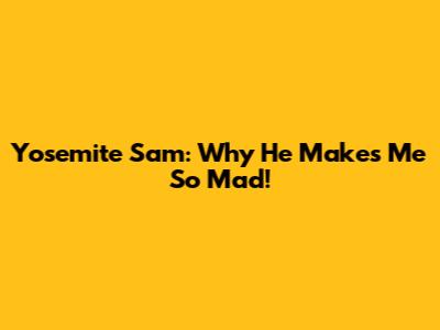 Yosemite Sam: Why He Makes Me So Mad!